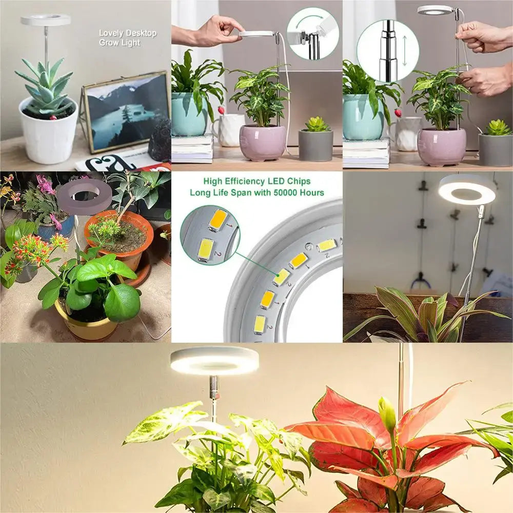 The OptiFlora Pro™