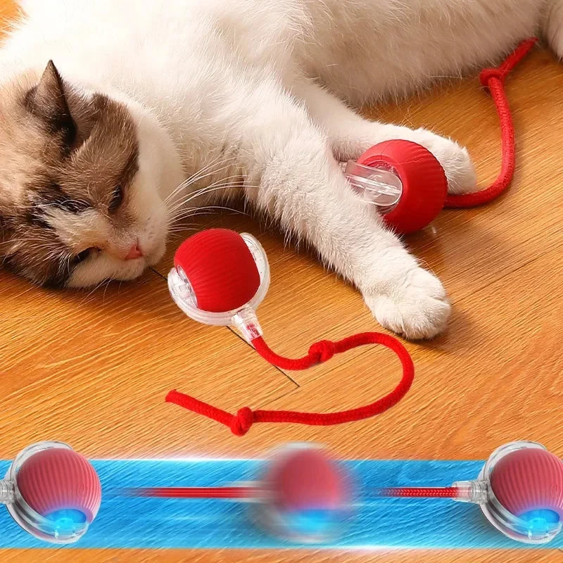 Katzenspielzeug Interaktiver Funball